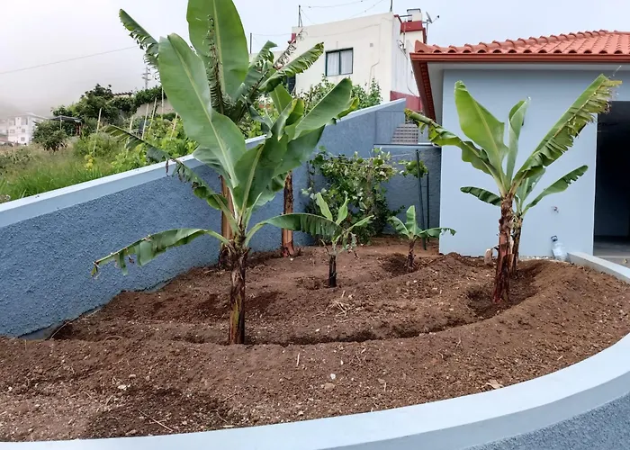 Calheta Paradise - Free Parking & Views Dom wakacyjny Arco da Calheta (Madeira)